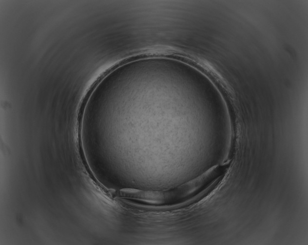 X0000090891232200708031045