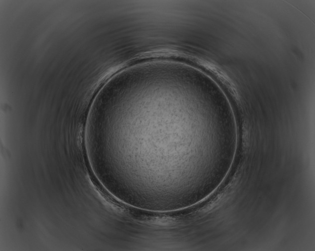 X0000090891233200708031045