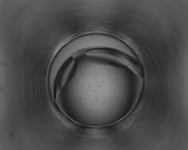 X0000090891234200708031045