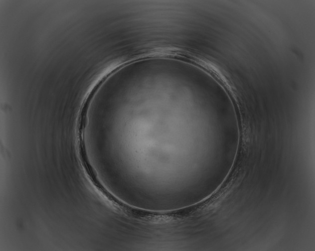 X0000090891235200708031045