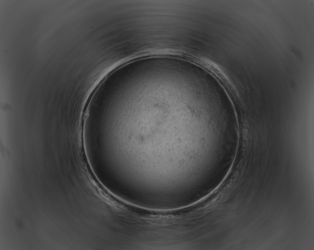 X0000090891236200708031045