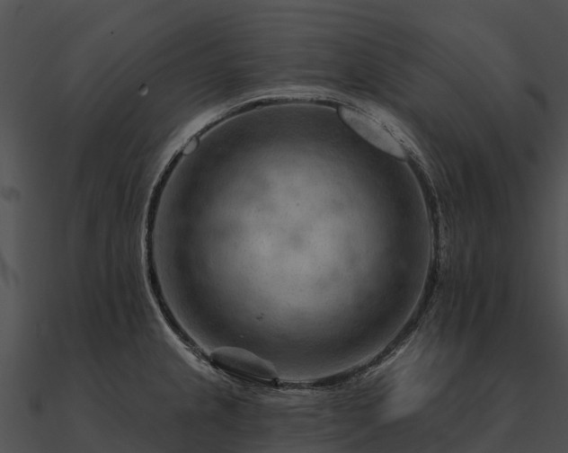 X0000090891237200708031045