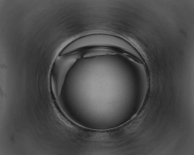 X0000090891238200708031045