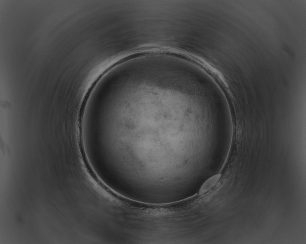 X0000090891239200708031045