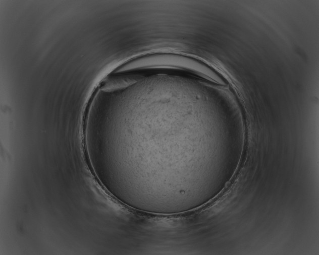 X0000090891240200708031045