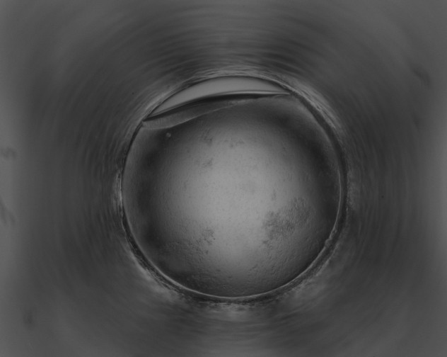 X0000090891241200708031045