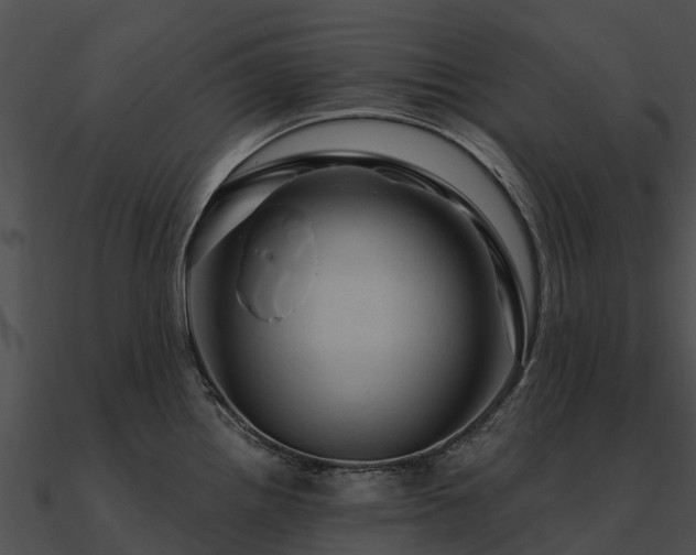 X0000090891242200708031045