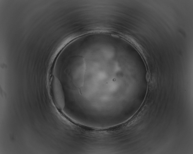 X0000090891243200708031045