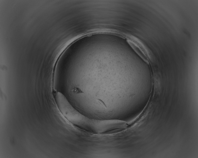 X0000090891244200708031045