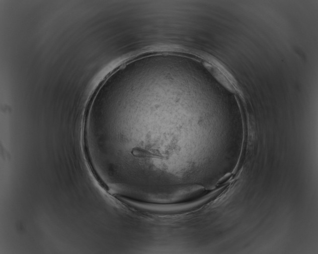 X0000090891245200708031045