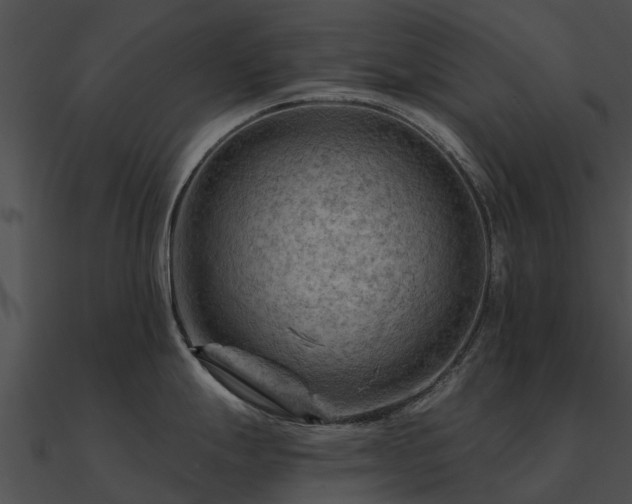 X0000090891247200708031045