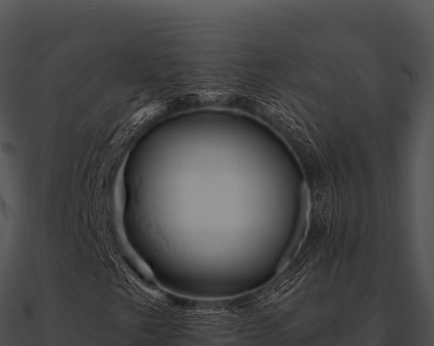 X0000090891249200708031045