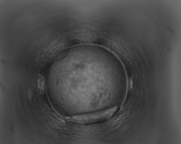 X0000090891251200708031045