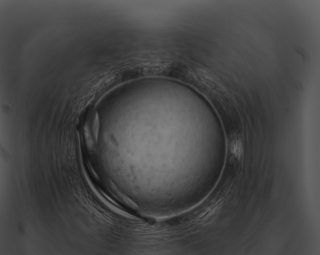 X0000090891252200708031045