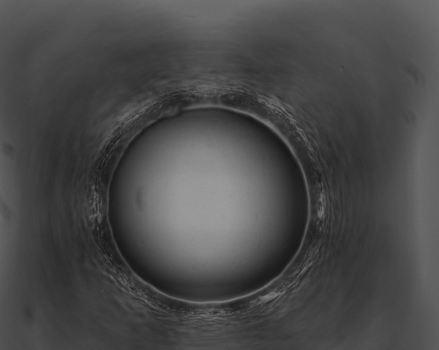 X0000090891253200708031045