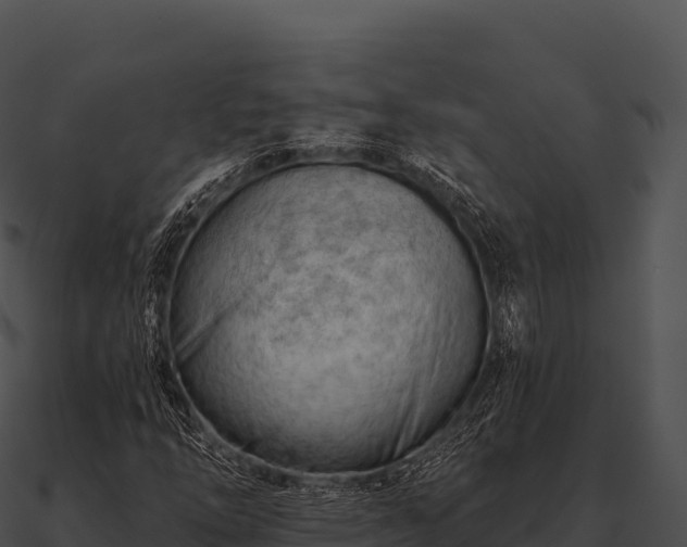 X0000090891254200708031045