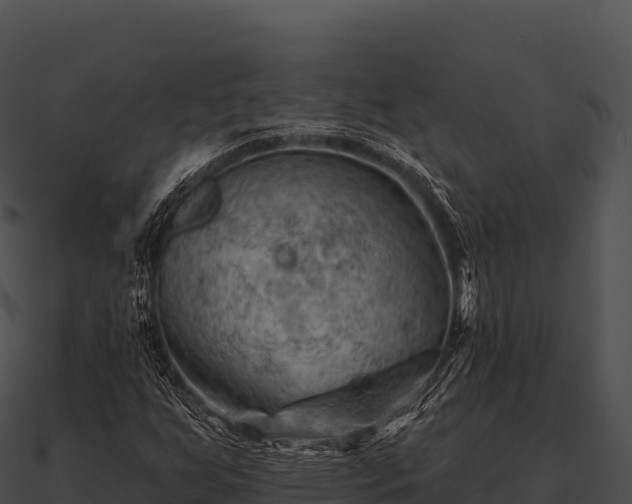 X0000090891255200708031045