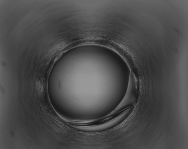 X0000090891257200708031045