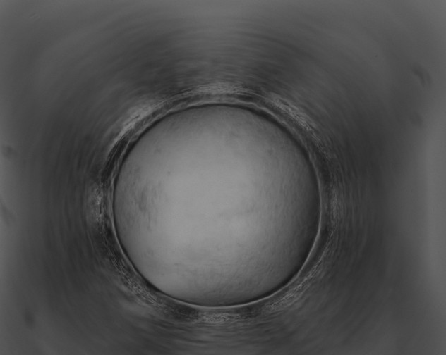 X0000090891258200708031045