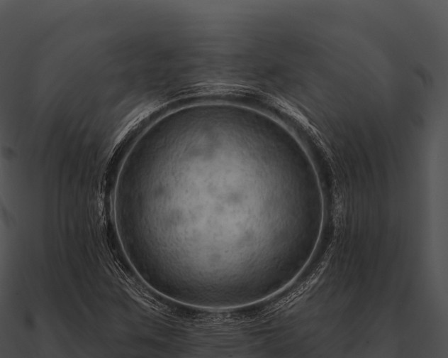 X0000090891259200708031045