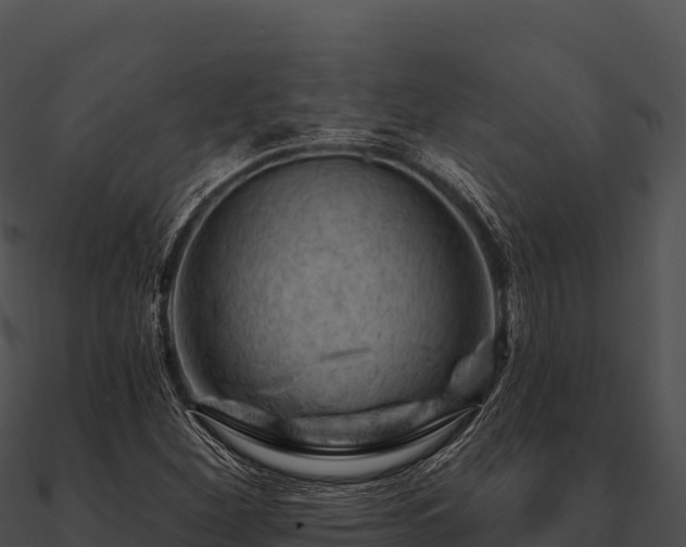 X0000090891260200708031045