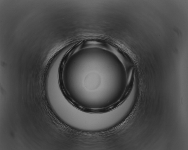 X0000090891261200708031045