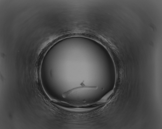 X0000090891262200708031045