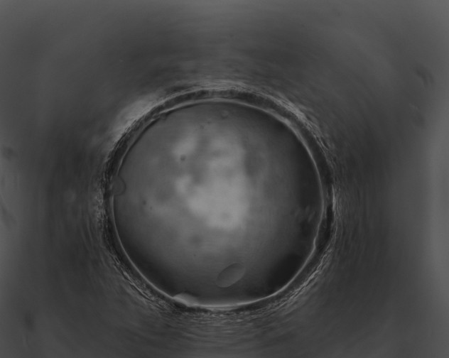 X0000090891263200708031045