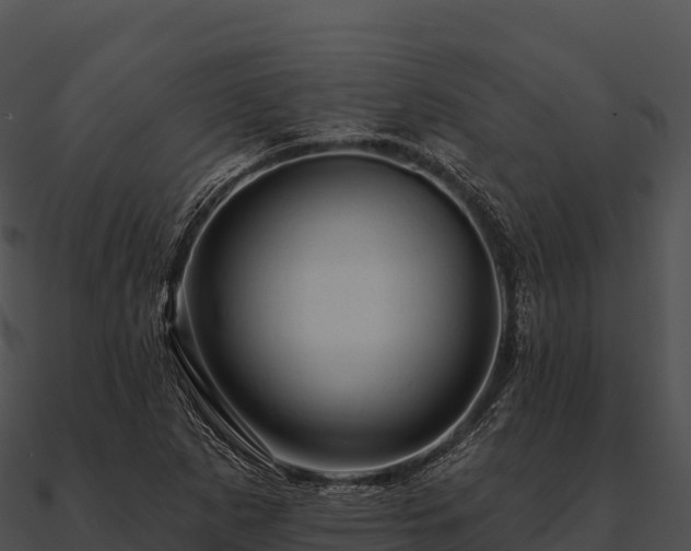 X0000090891265200708031045