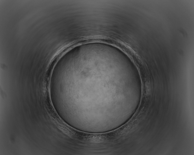 X0000090891266200708031045