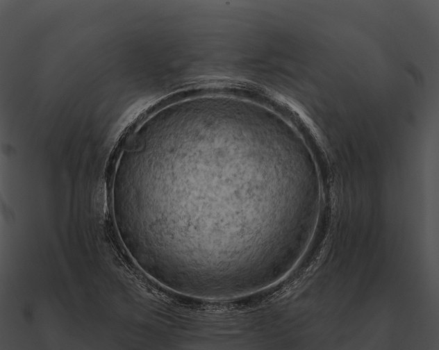 X0000090891267200708031045