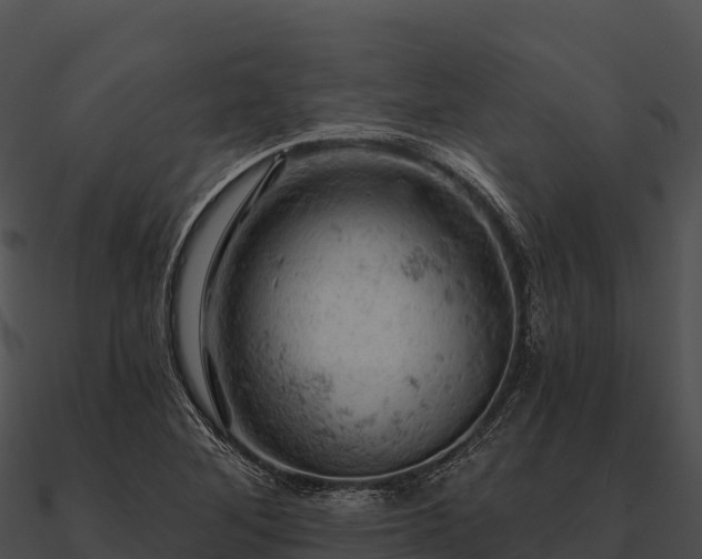 X0000090891268200708031045