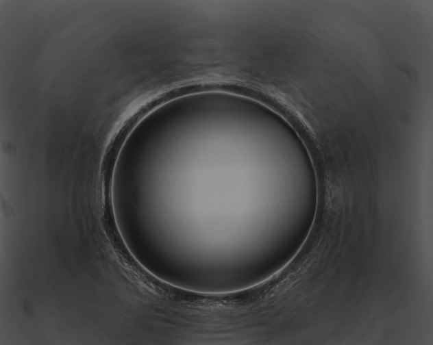 X0000090891270200708031045