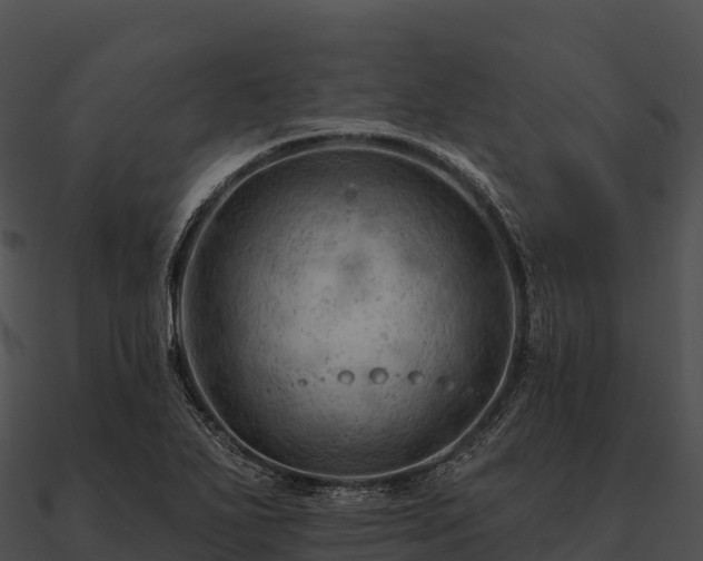 X0000090891271200708031045