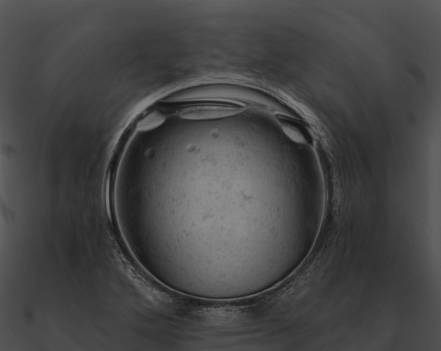 X0000090891272200708031044