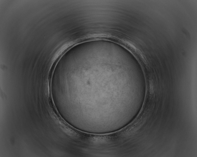 X0000090891274200708031044