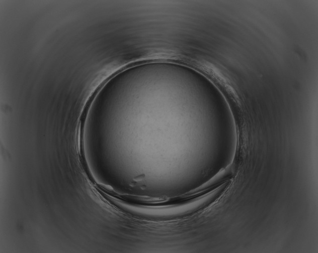 X0000090891276200708031044