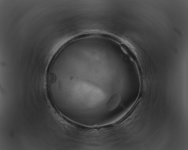 X0000090891279200708031044