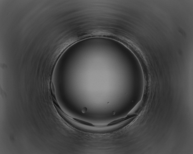 X0000090891281200708031044