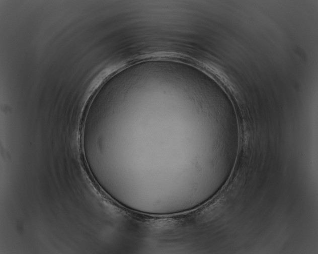 X0000090891282200708031044