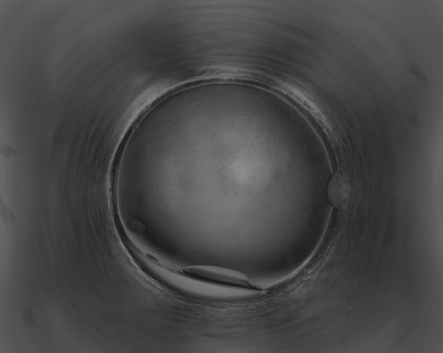 X0000090891283200708031044