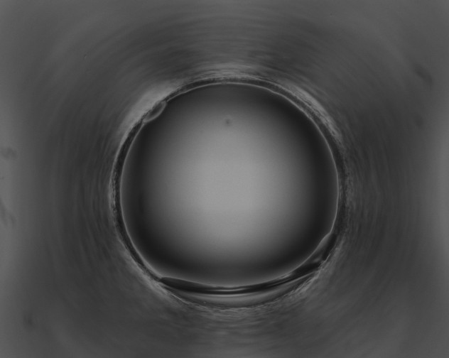 X0000090891285200708031044