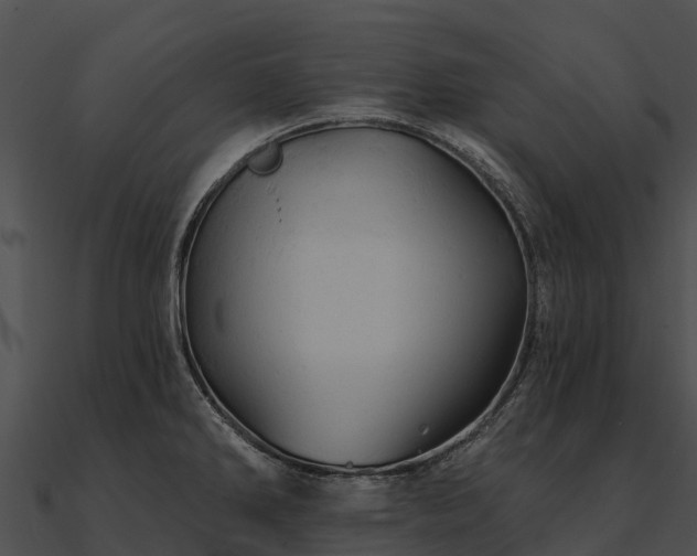 X0000090891286200708031044