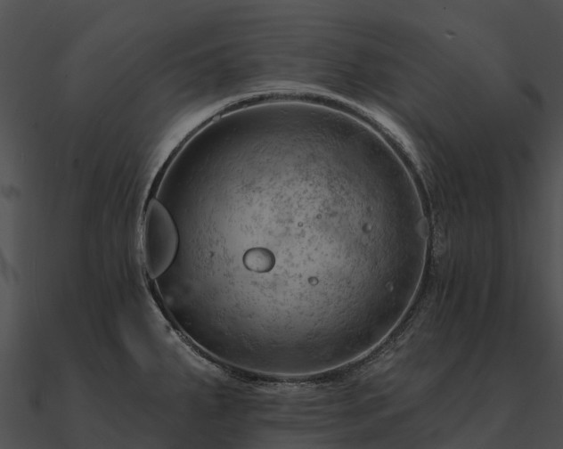 X0000090891287200708031044