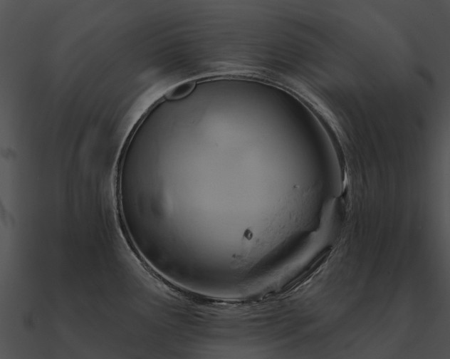 X0000090891291200708031044