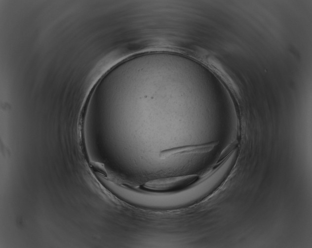 X0000090891292200708031044