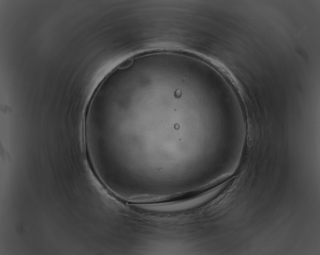 X0000090891295200708031044