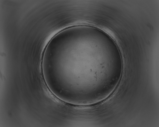 X0000090891296200708031044