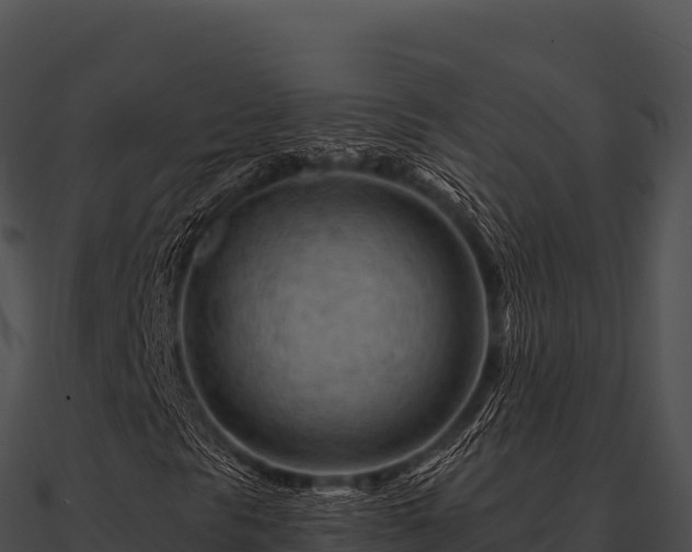 X0000090891297200708031044