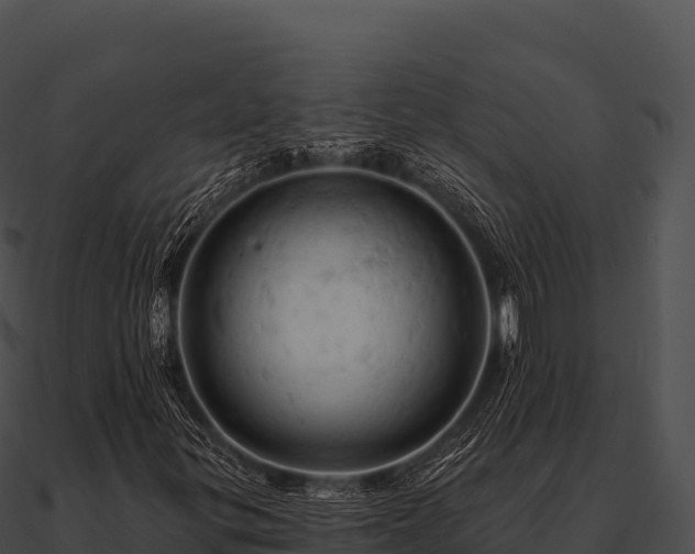 X0000090891299200708031044